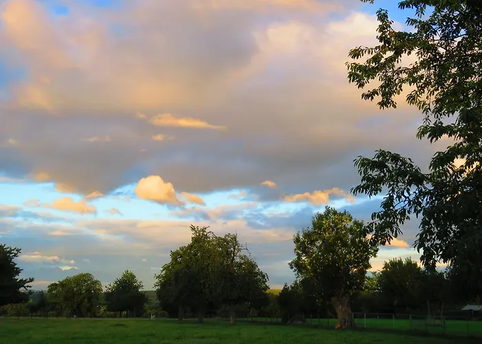 - Restaurant De 4 Jaargetijden