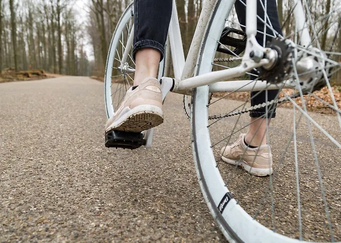 - Restaurant De 4 Jaargetijden Hotel 3*