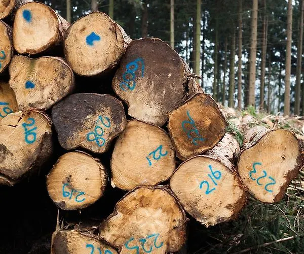 - Restaurant De 4 Jaargetijden Hotel 3*