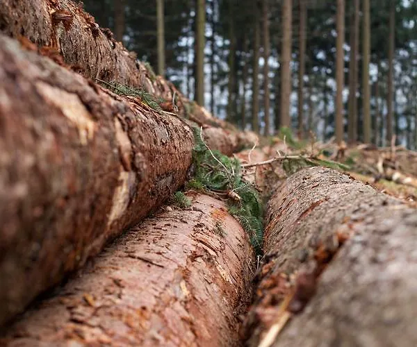 - Restaurant De 4 Jaargetijden