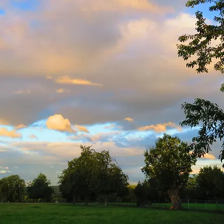 - Restaurant De 4 Jaargetijden