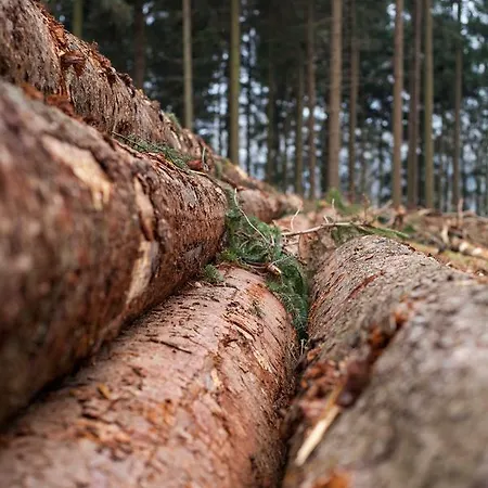 - Restaurant De 4 Jaargetijden